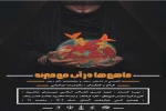 ماهی ها میمیرند